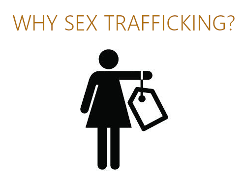 Why sex trafficking?