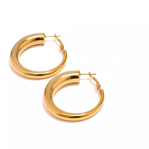 The Julia Hoop Earrings