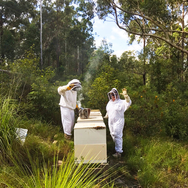 Two Busy Bees Honey in the Apiary