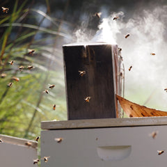 Apiary-Smoker-TwoBusyBeesHoney