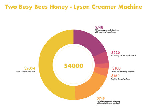 Pie chart for crowd funding from Two Busy Bees Honey