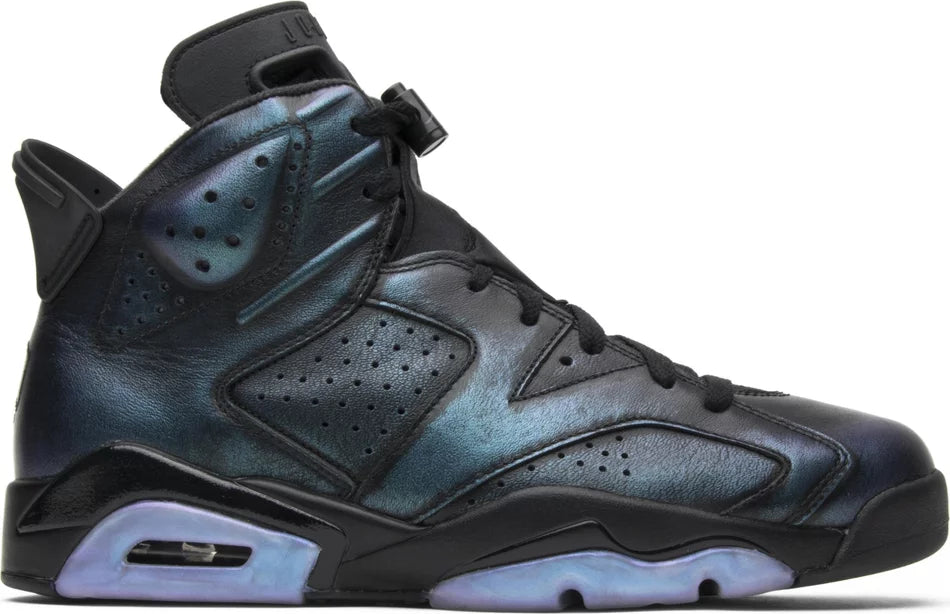 chameleon 6s jordans