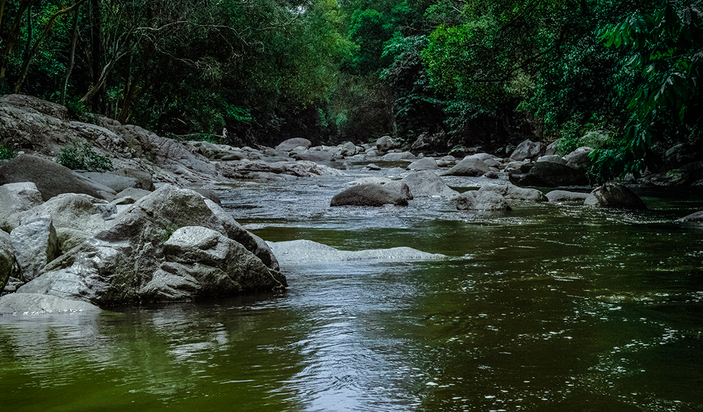 Water Source 