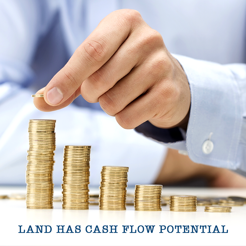 land has cash flow potential