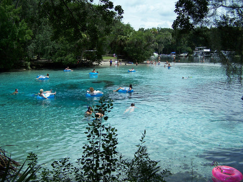 Silver Springs