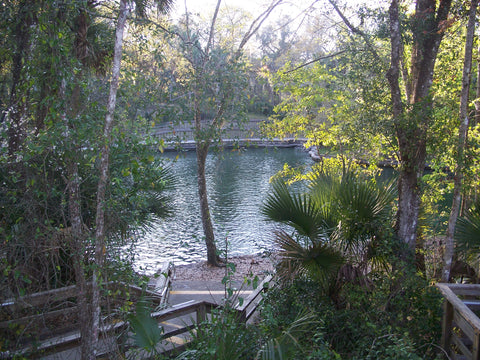 Wekiwa Springs