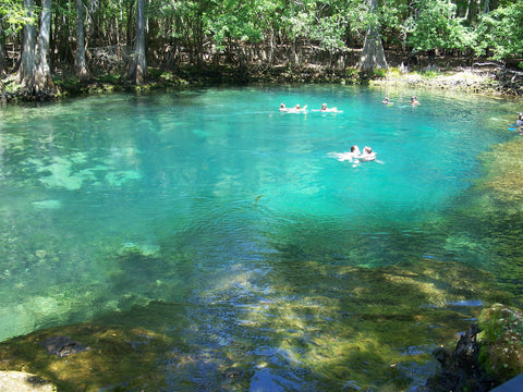 rainbow springs