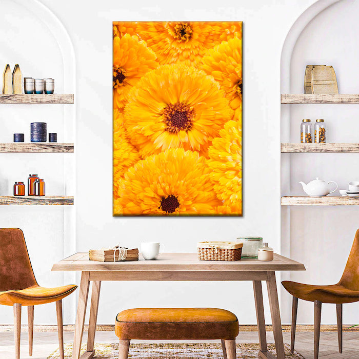 https://cdn.shopify.com/s/files/1/1568/8443/files/Modern_Orange_Kitchen.jpg?v=1646401077