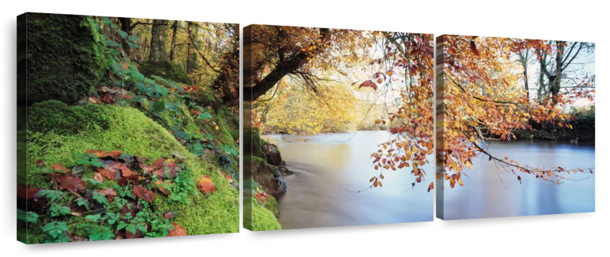 Port Coquitlam at night - Gorgeous panoramic photo as high quality wall art