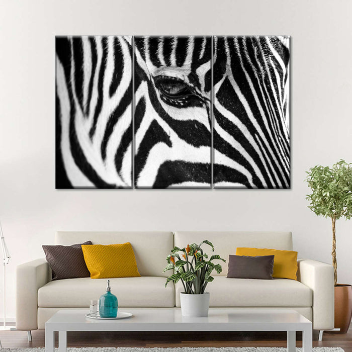 Zebra Multi Panel Canvas Wall Art