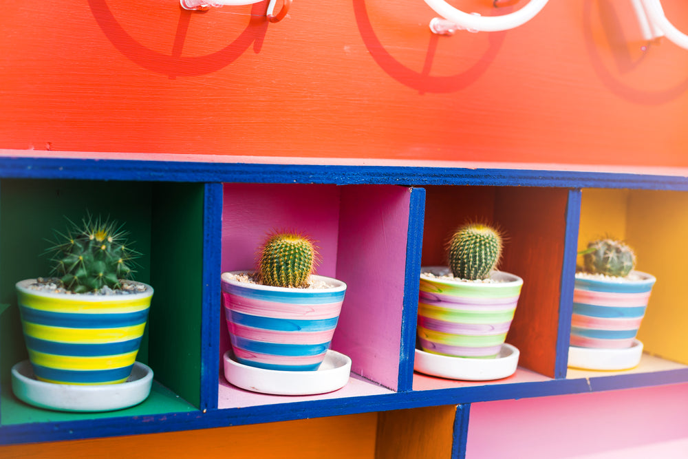 Décor Ideas Inspired by Mexico