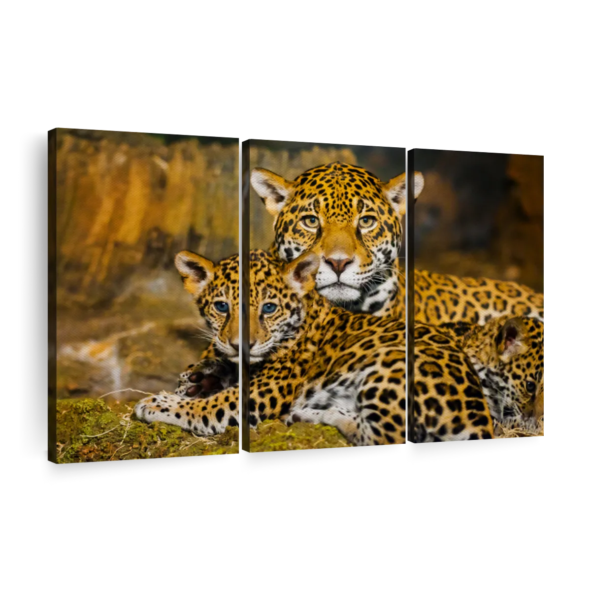 Page Wall Paintings, Photograph & Art Jaguar - Prints | Drawings Art 2