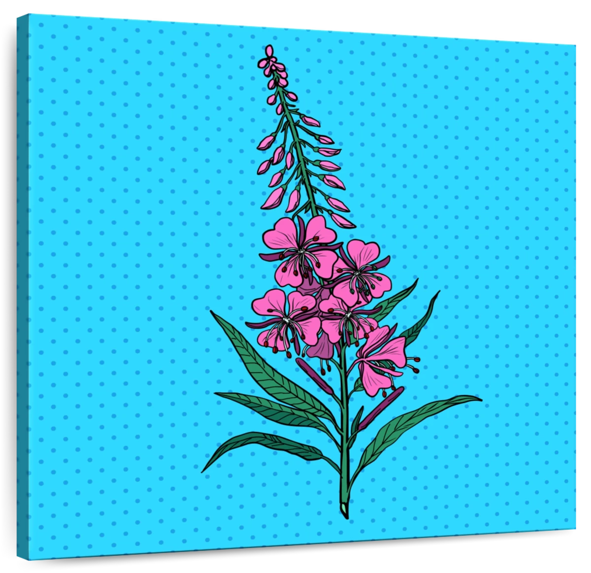 fireweed clip art