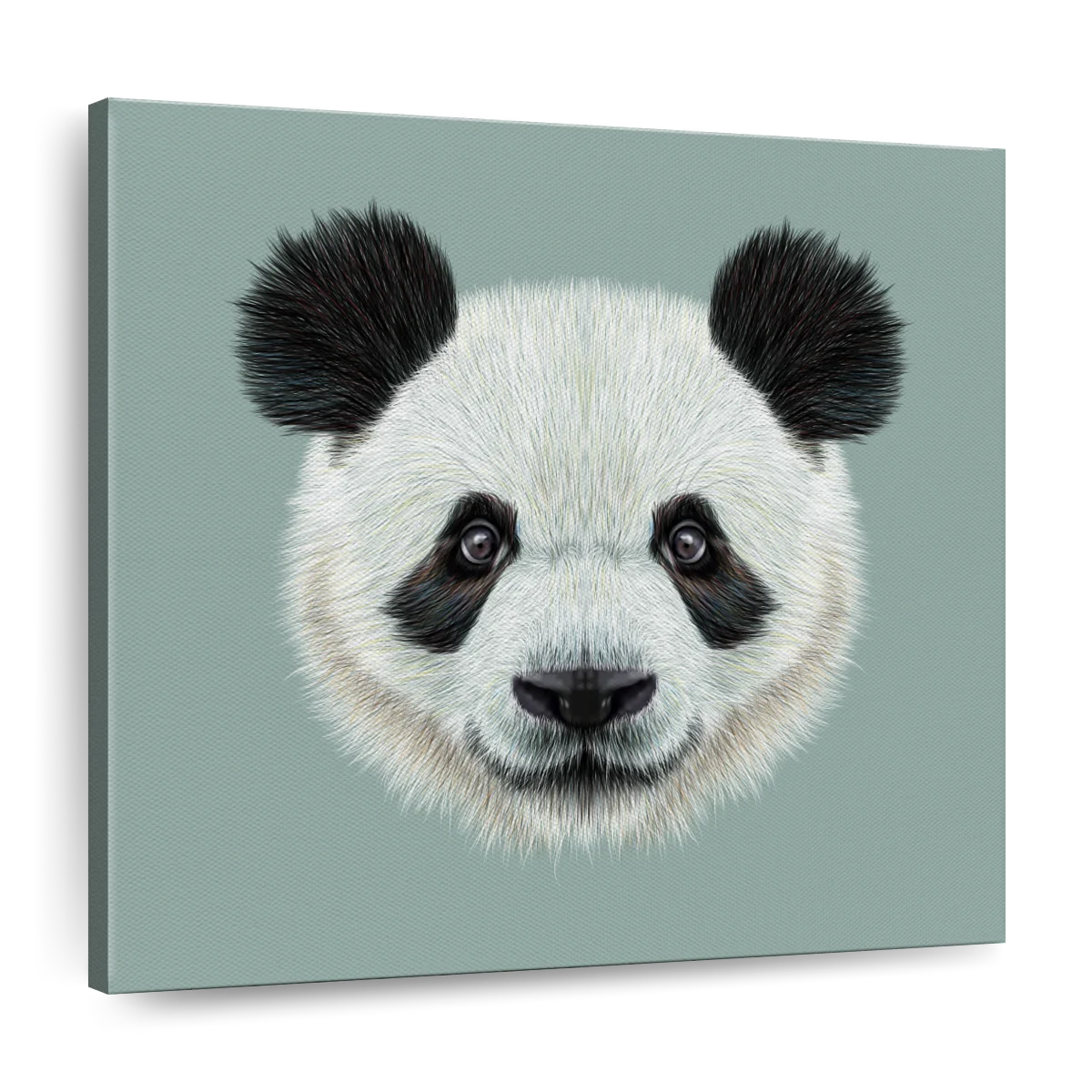 Panda Portrait Sketch Stock Illustration - Download Image Now - Panda -  Animal, Animal Head, Teddy Bear - iStock