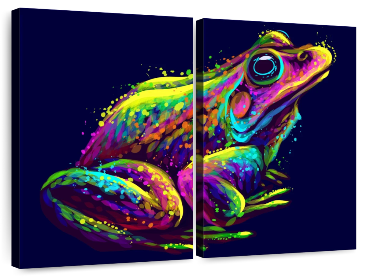 colorful frog drawings