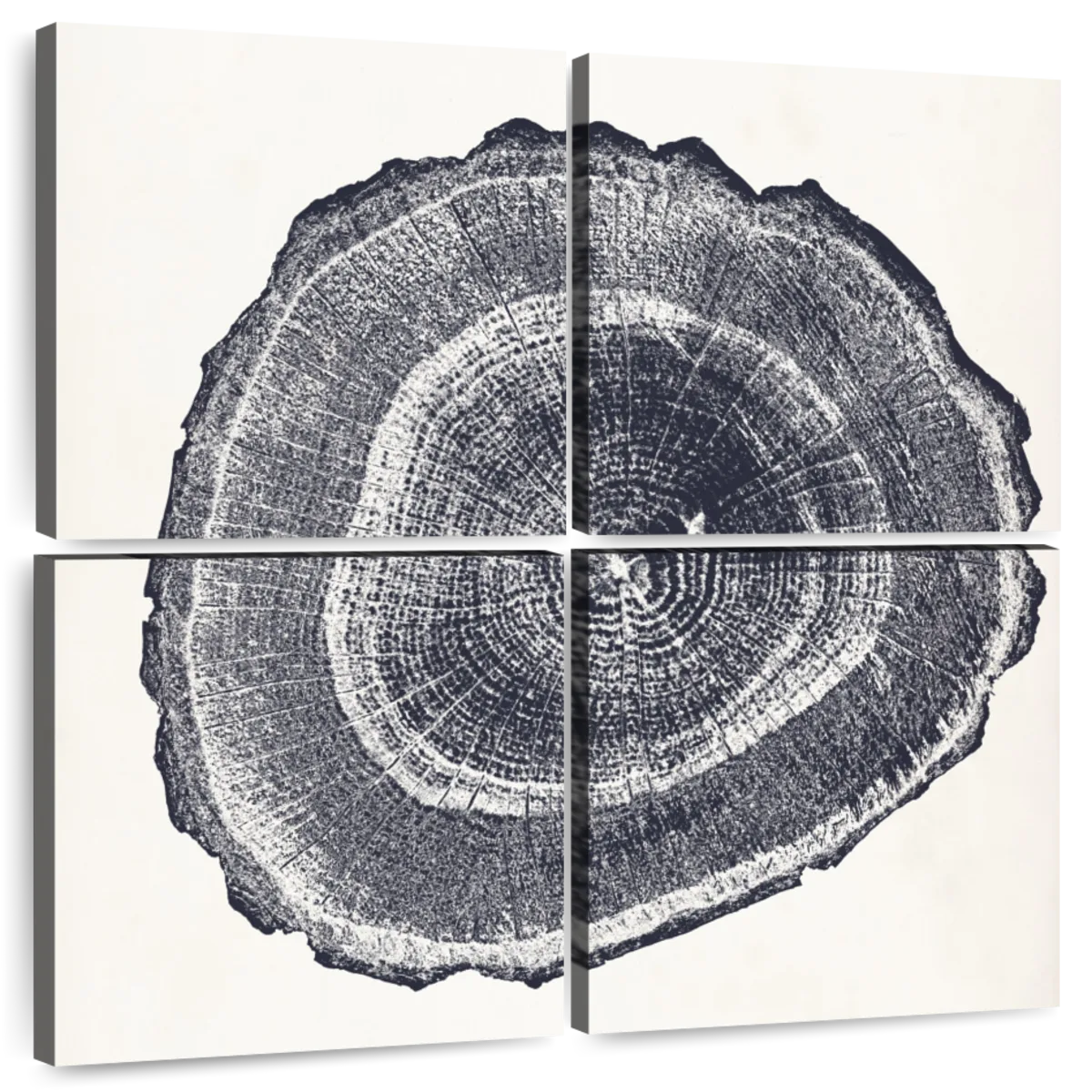 1,200+ Tree Ring Background Stock Illustrations, Royalty-Free Vector  Graphics & Clip Art - iStock