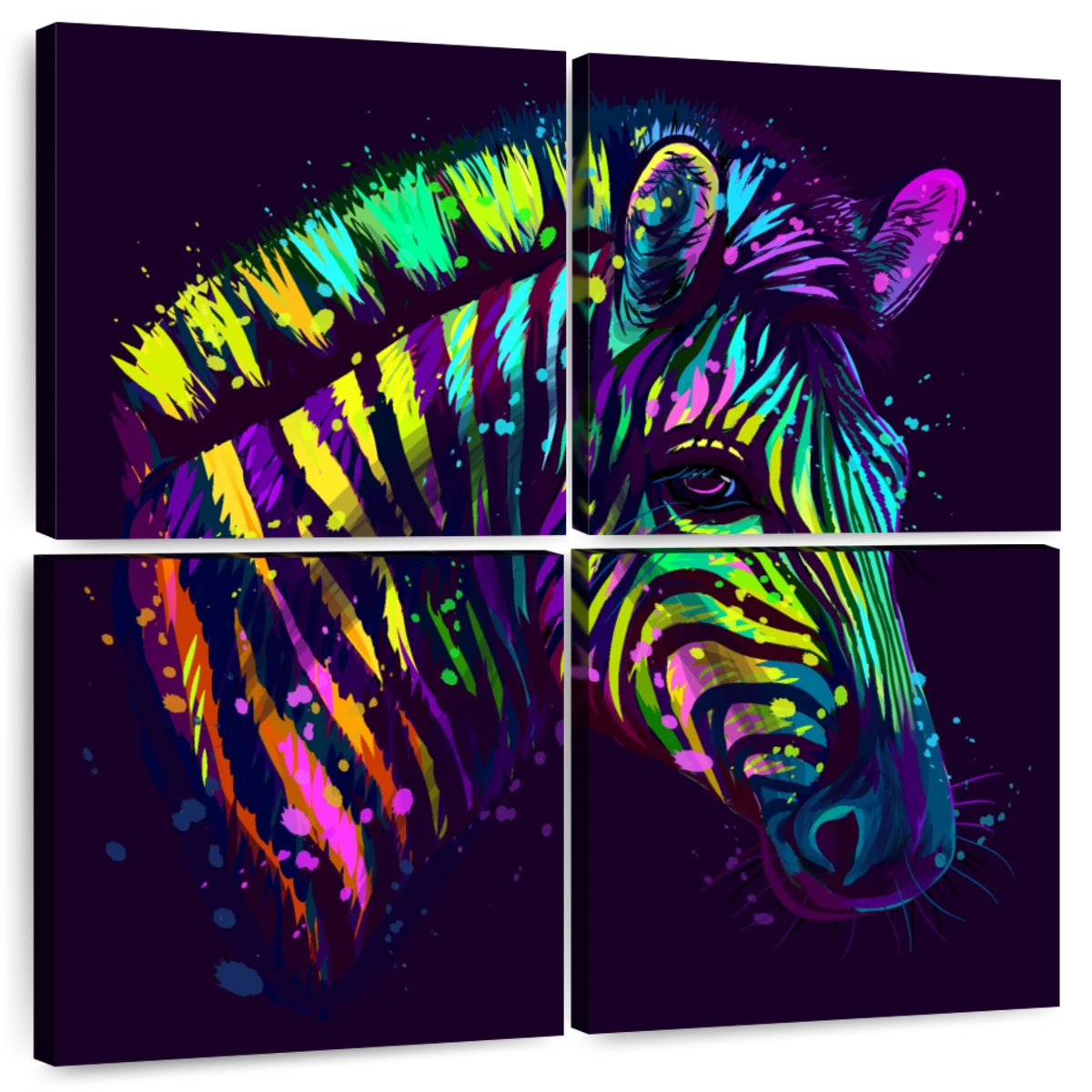 colorful zebra layouts