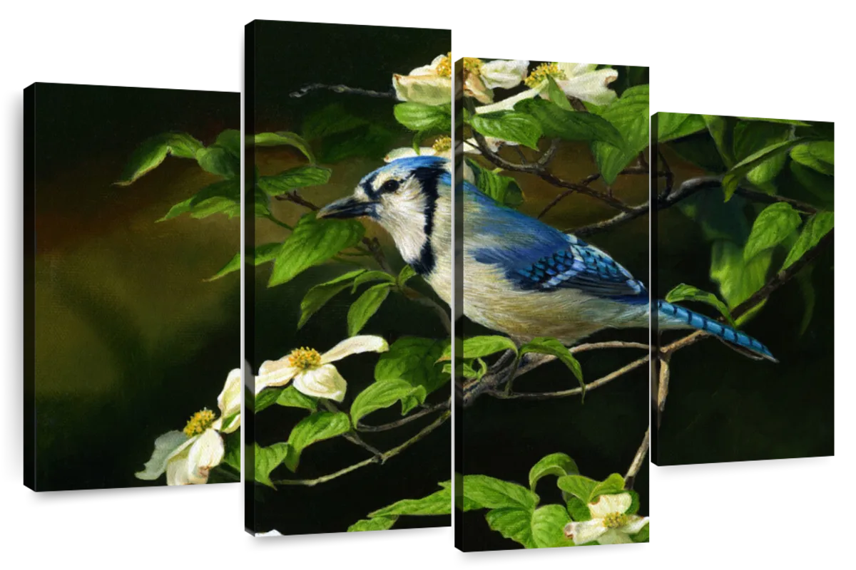 Cute Blue Jay Wall Art & Décor