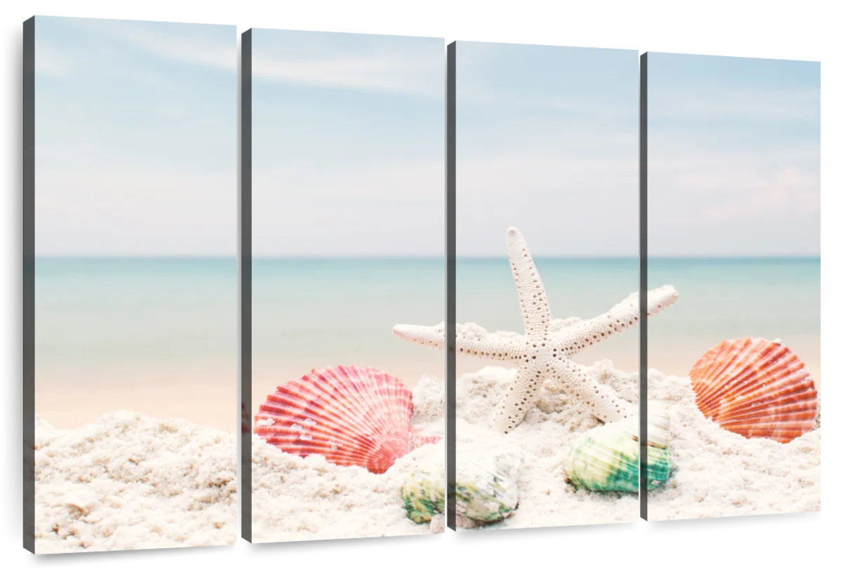 Summer Shells And Starfish Wall Art: Canvas Prints, Art Prints & Framed  Canvas