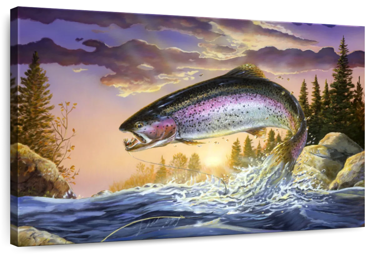 Trout Wall Art  Paintings, Drawings & Photograph Art Prints