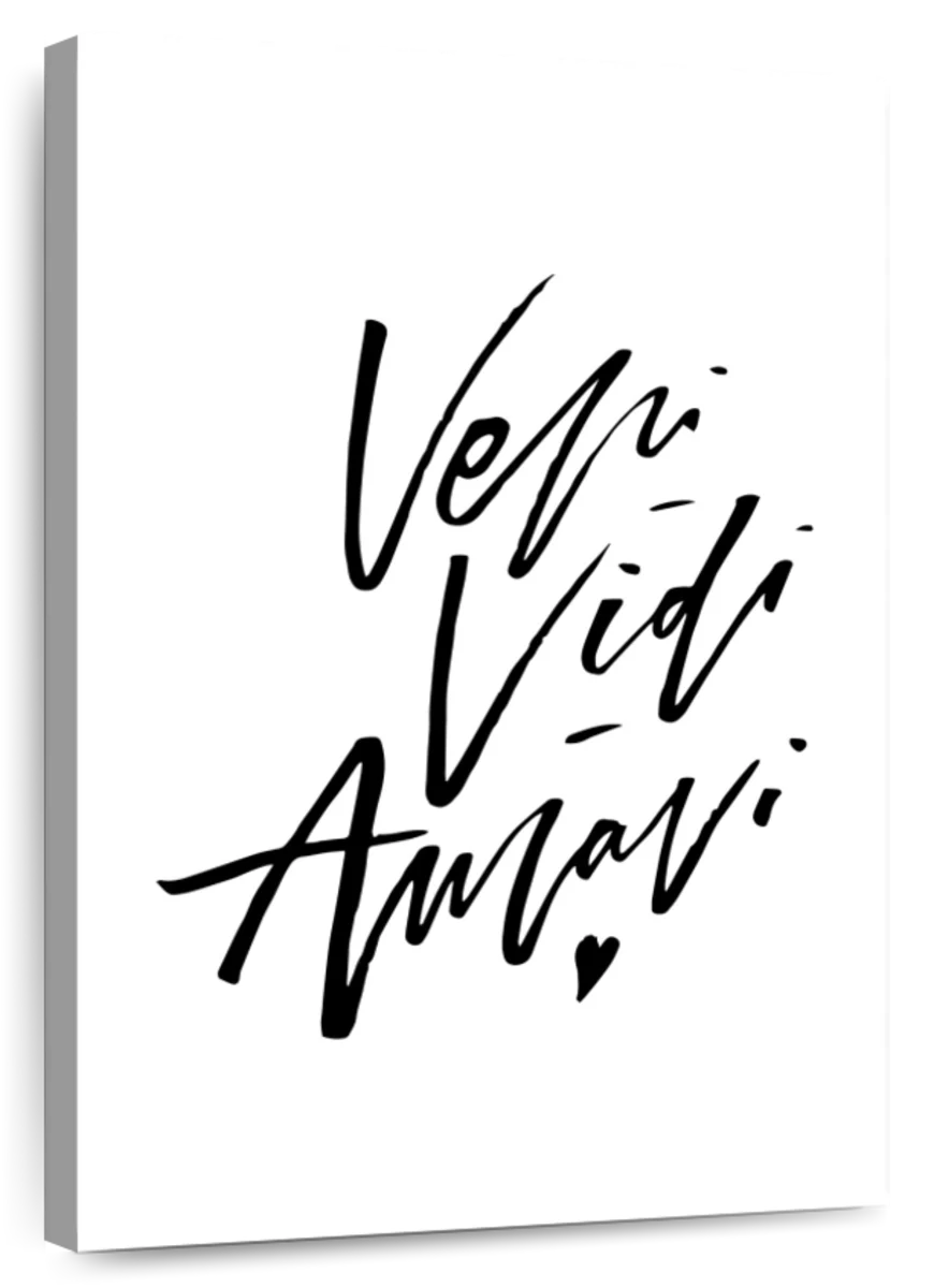 Veni. Vidi. Amavi. We Came. We Saw. We Loved. Hand-lettered 