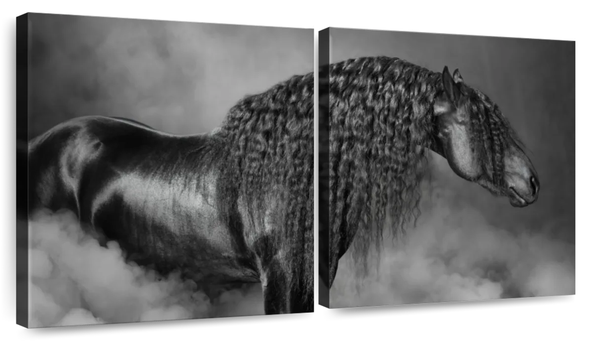 Dashing Black Horse Wall Art | Photography