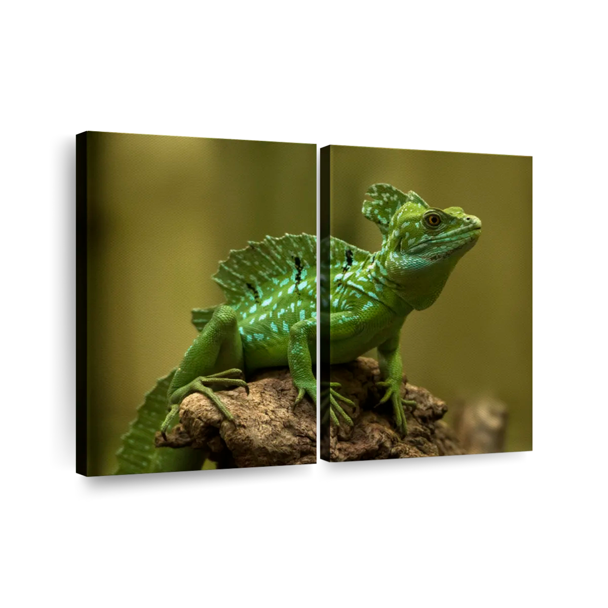 lizard wall art