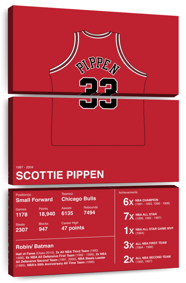 Dunk Block Star Scottie Pippen Basketball Wall Art Home Decor