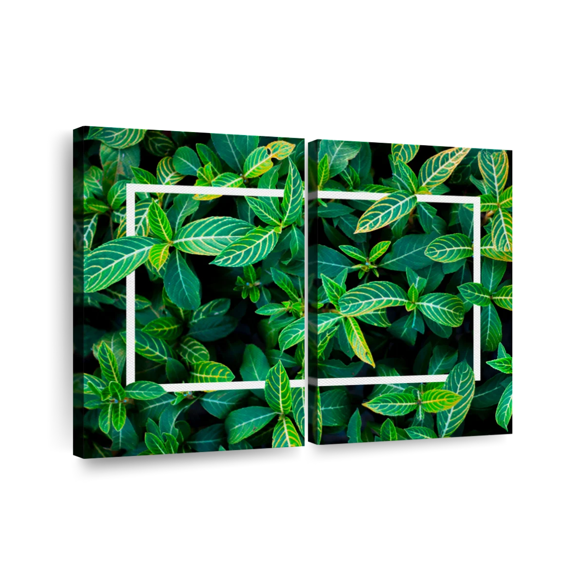 Green Wall Art Leaf Prints - Tropical Nursery Plant Canvas