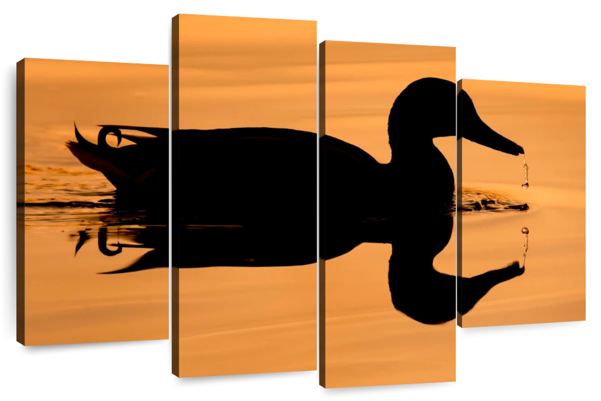 duck hunting silhouettes