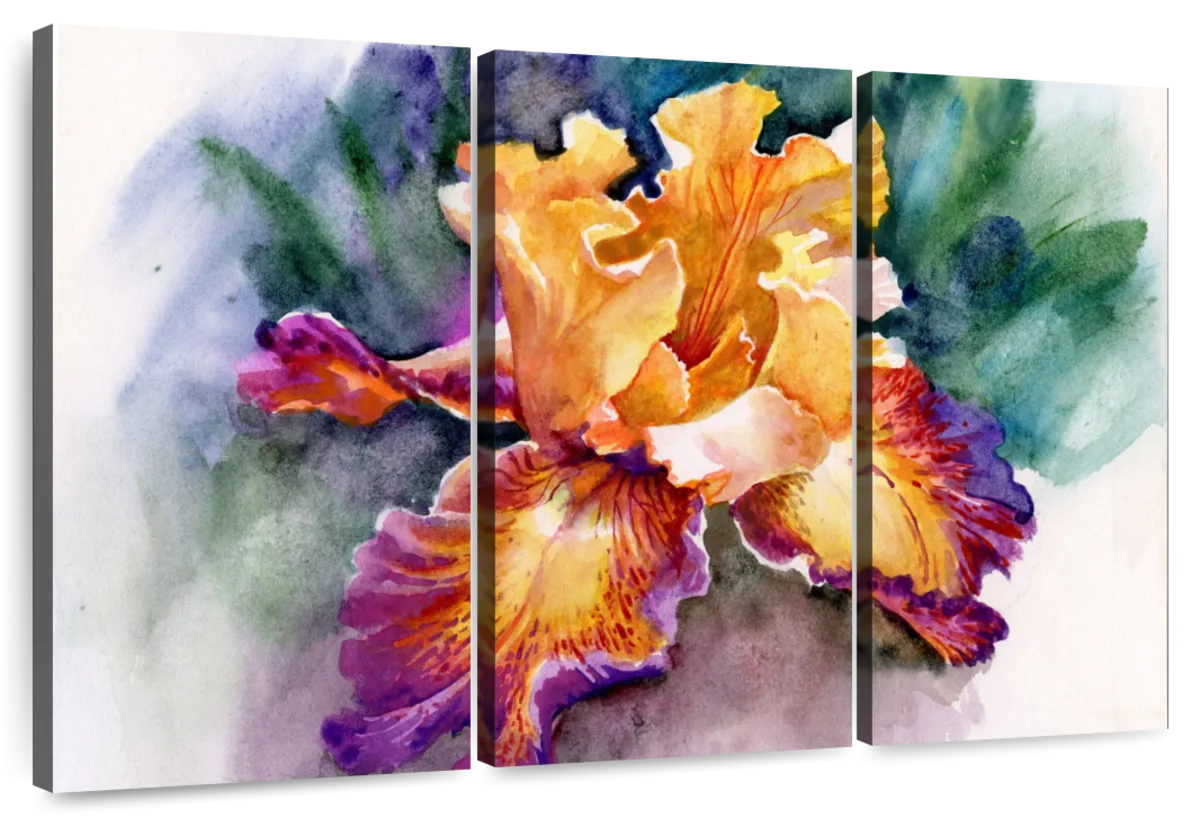 Yellow Iris Flower Wall Art | Watercolor