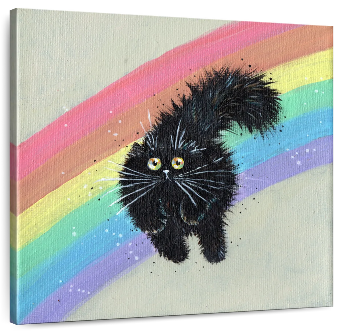 black cat running