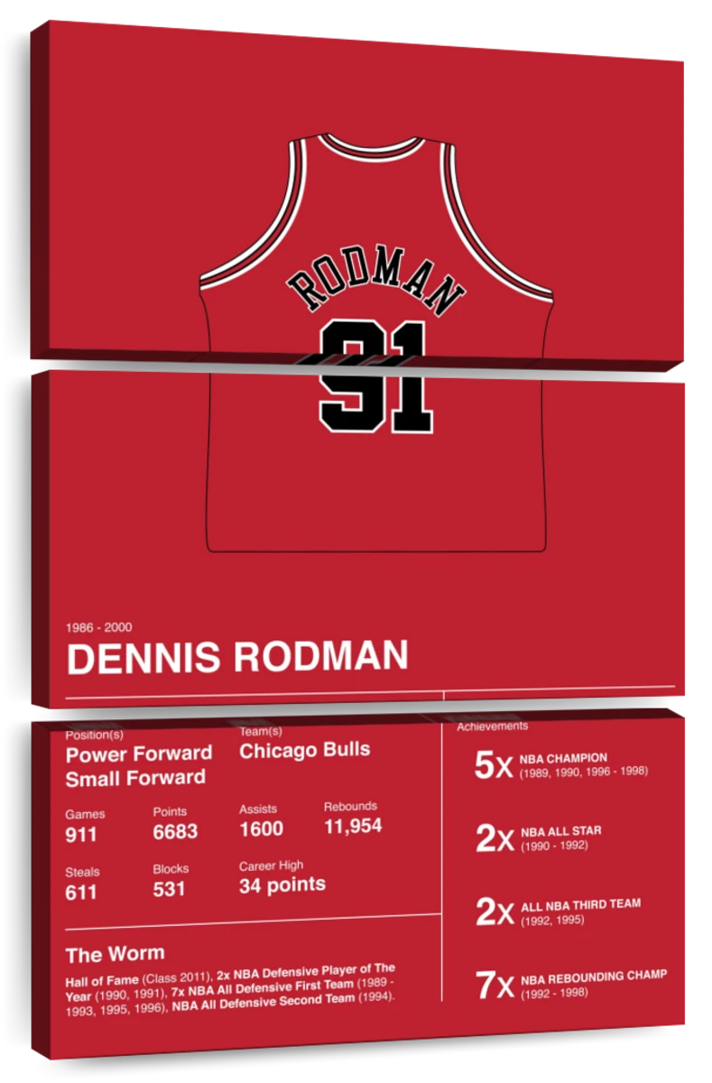 Dennis Rodman - Paint by numbers - Painting By Numbers