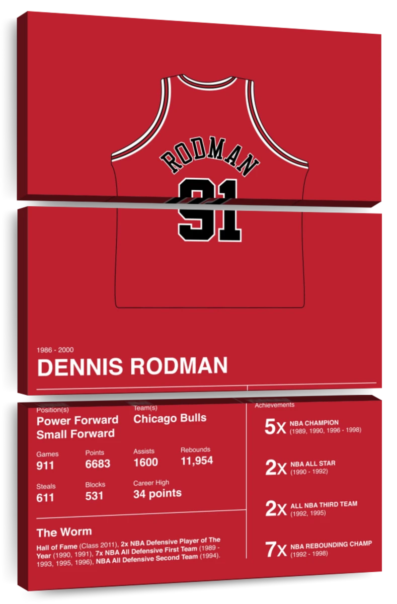 Dennis Rodman Stats