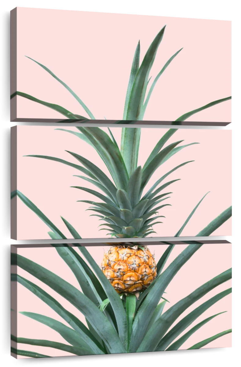 Pineapple Wall Art | Paintings, Drawings & Photograph Art Prints - Page 5