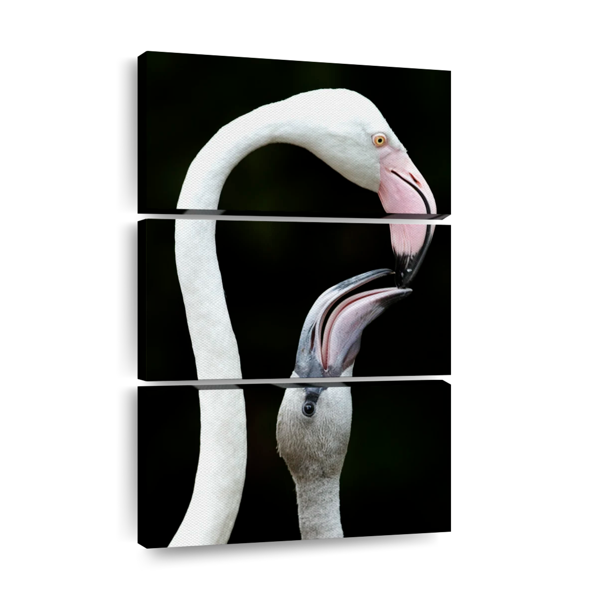 Sunset White Flamingo Bird Watercolor - Canvas Print – artAIstry