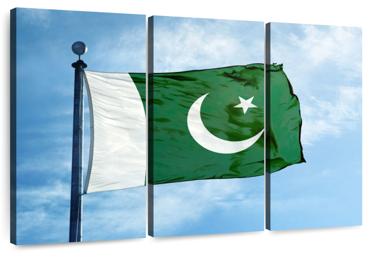 eksil vokal nedsænket Hoisted Pakistan Flag Wall Art | Photography