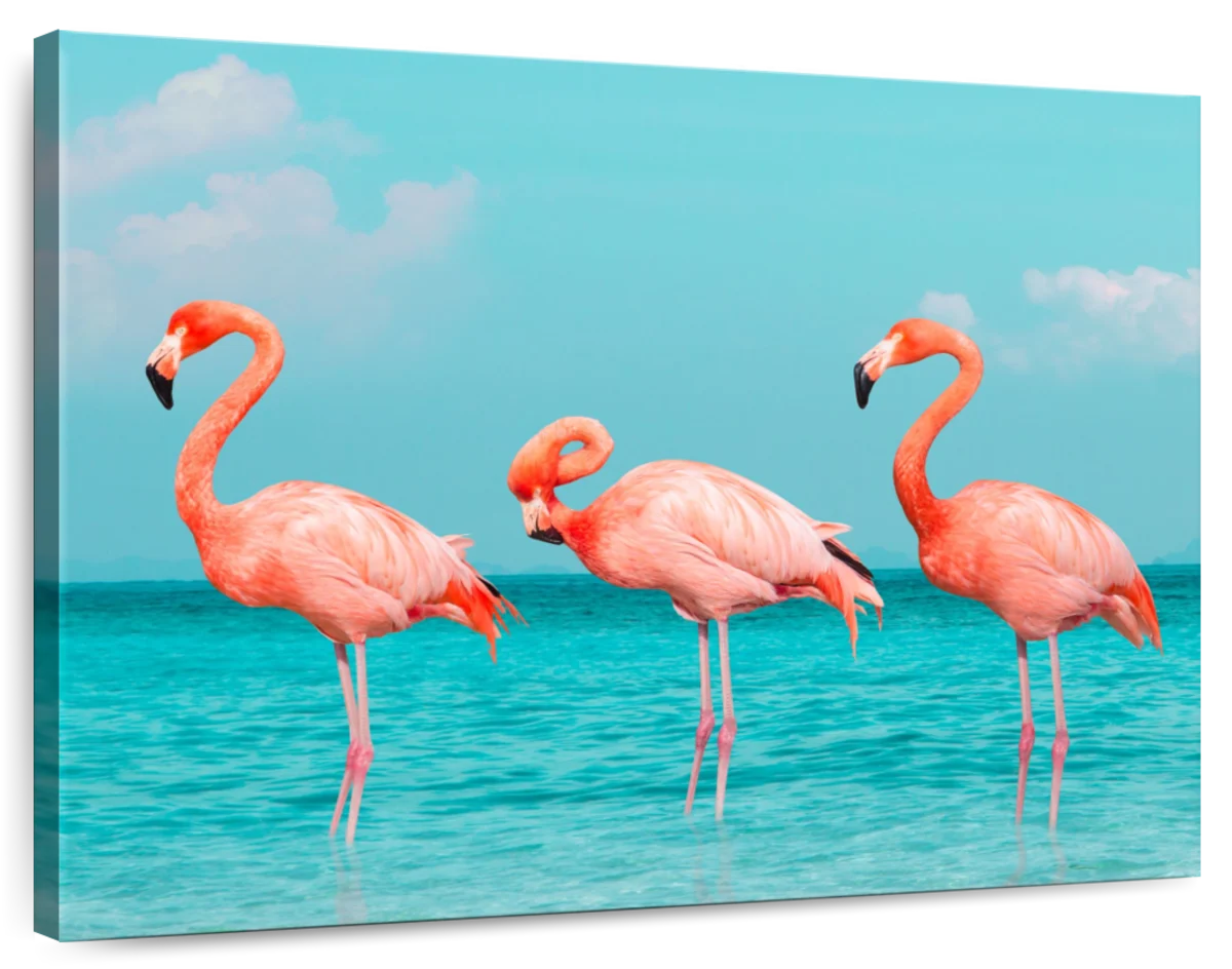 Wall Mural Pink flamingo 