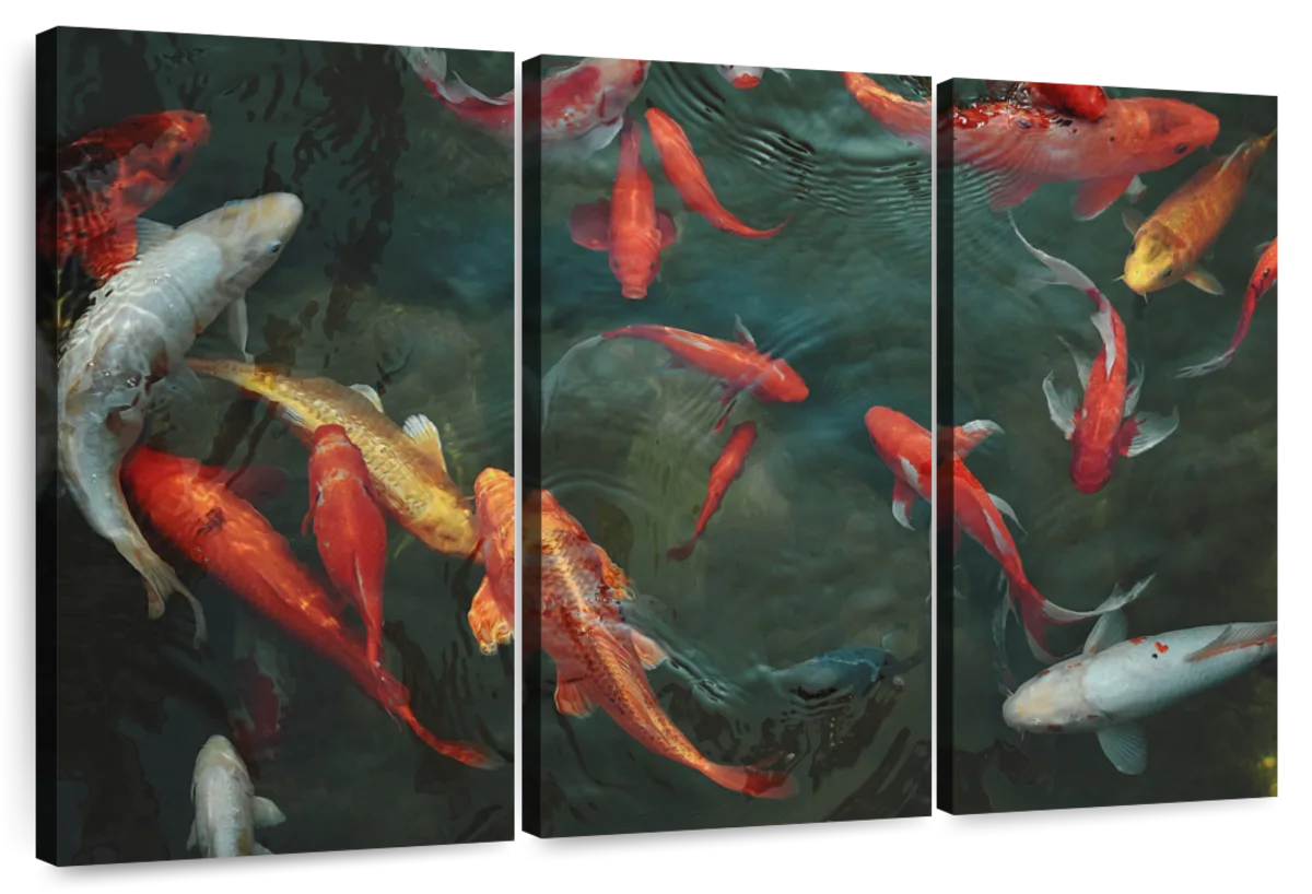 Art Factory Koi Fish Painting Canvas Strecher Canvas 36 inch x 24