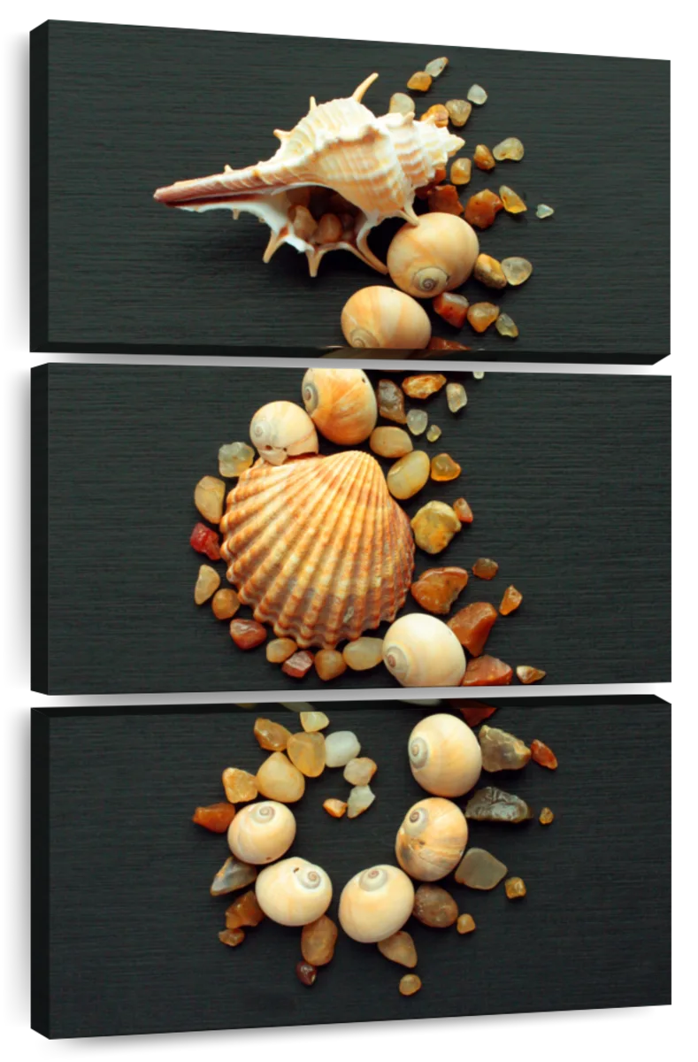 Seashell Seahorse Wall Art: Canvas Prints, Art Prints & Framed Canvas