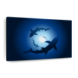 Deep blue sea sharks  Wall Art