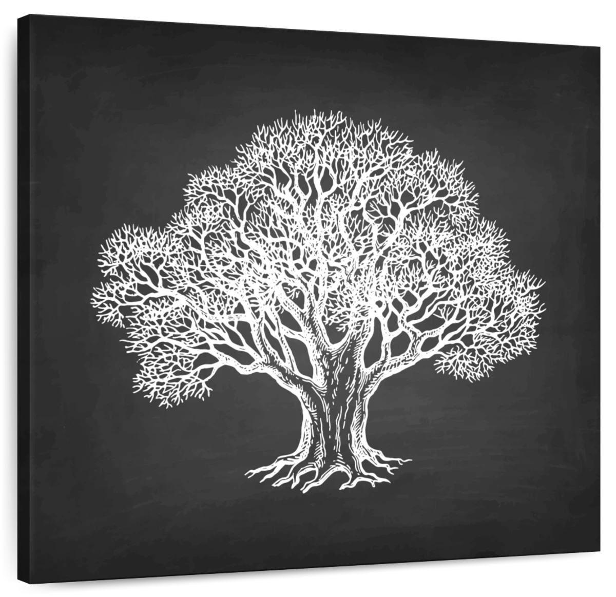 oak tree black and white drawing