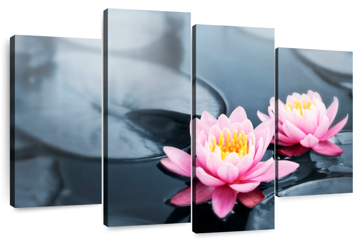 Pop Lotus Flowers Wall Art | Photography