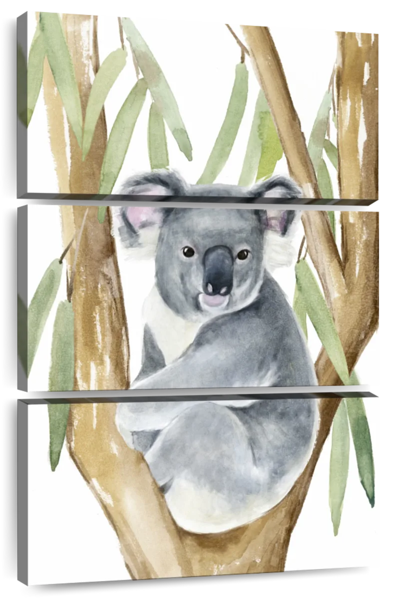 Koala I