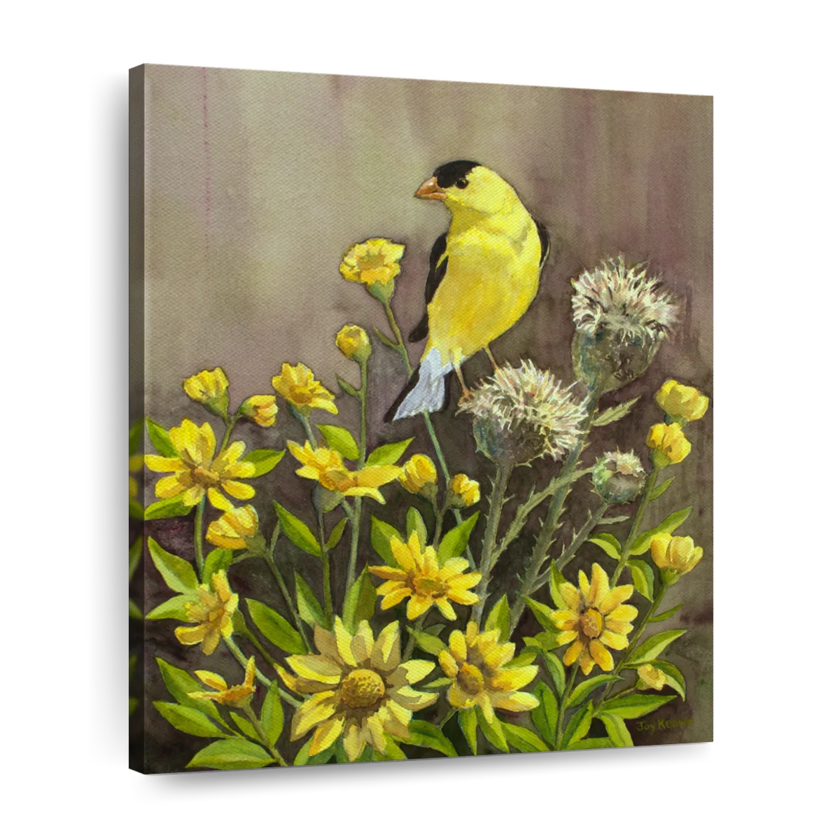 goldfinch and posters