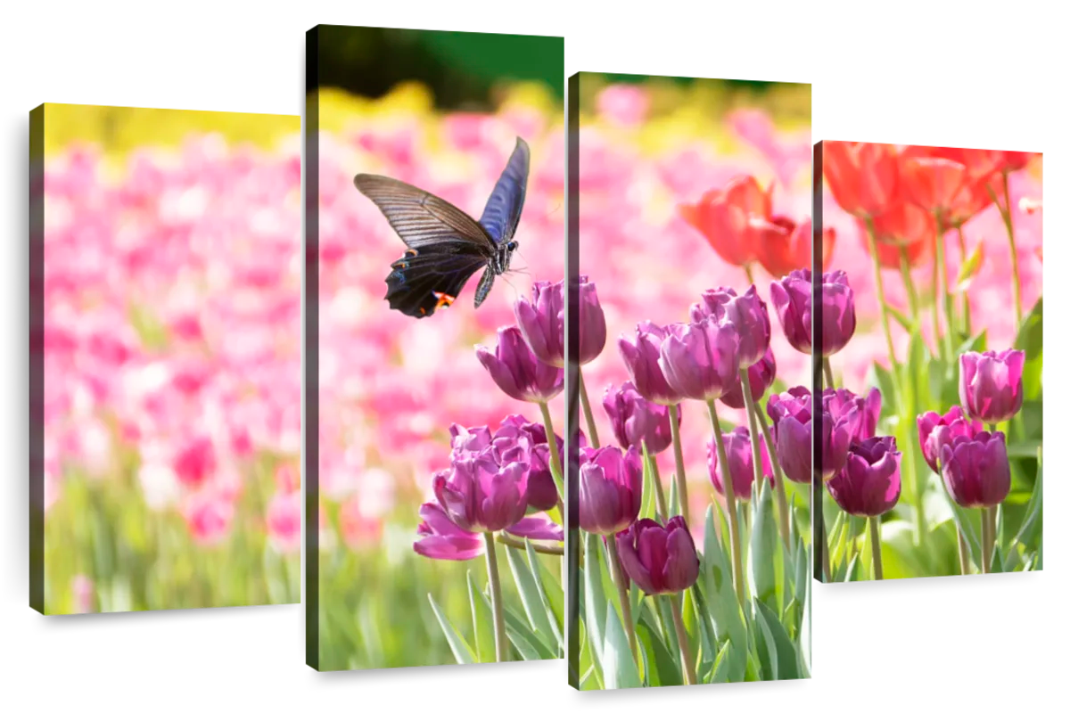 Tulip Wall Art | Paintings, Drawings & Photograph Art Prints