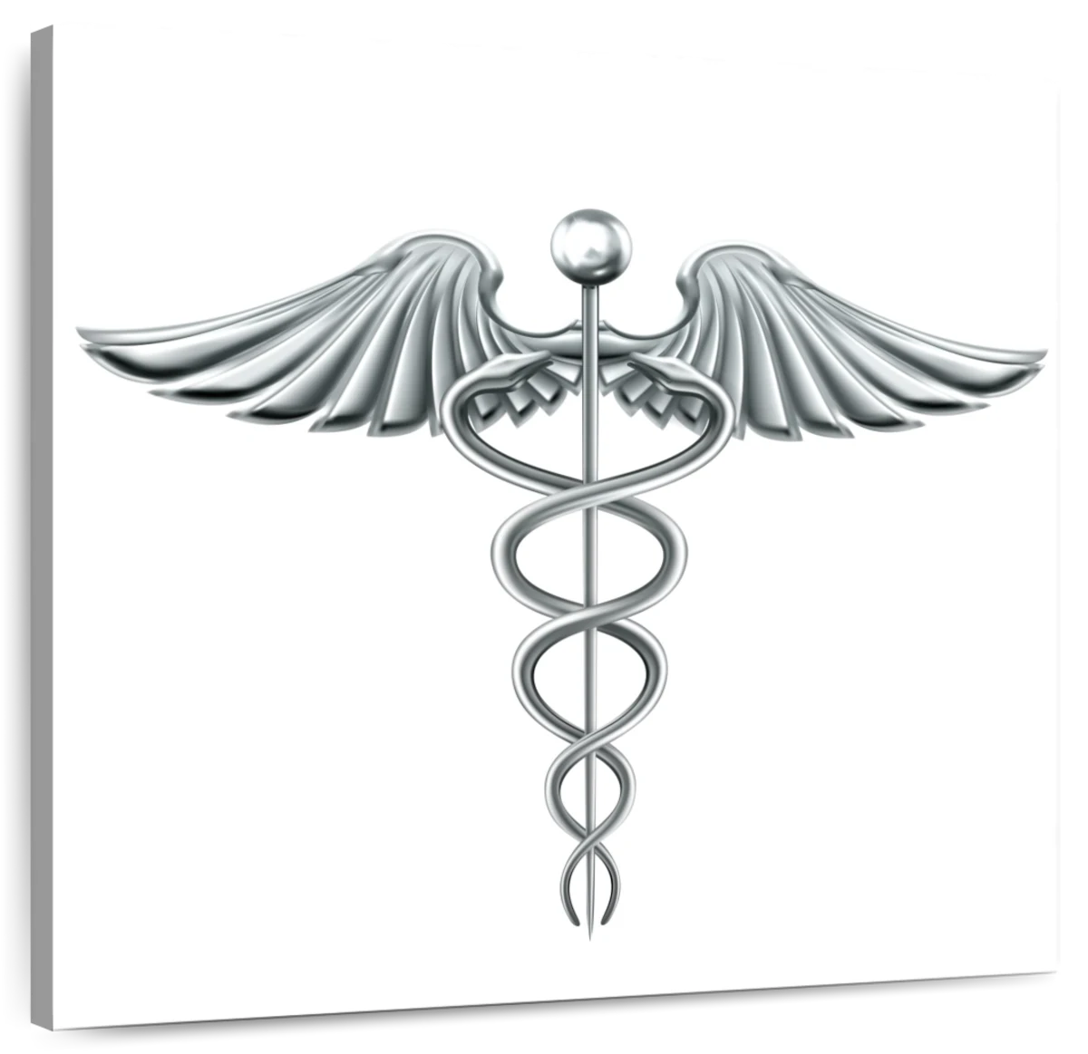 Amazon.com : Snake 4 Sheets Semi Permanent Temporary Tattoo Stickers for  Women Hand Sketch Caduceus Symbol Doctor Drawing Medicine Icon Illu Juice  Realistic Tattoos Long-Lasting 1-2 Weeks for Chest 4 Sheets :