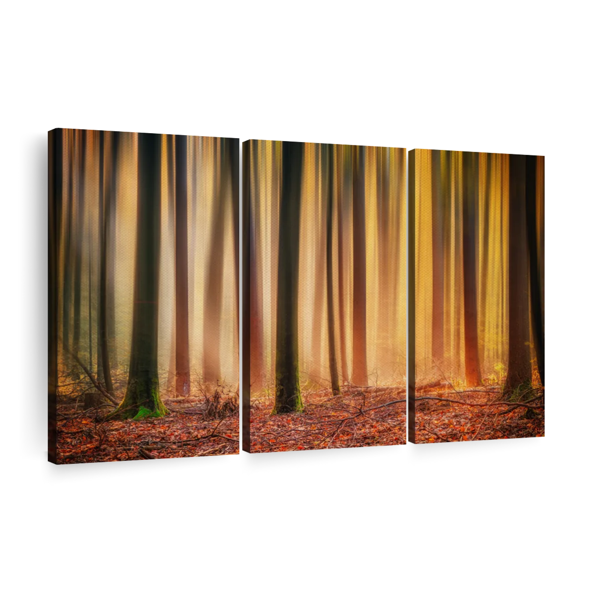Enchanted Autumn Forest Wall Art | Photography