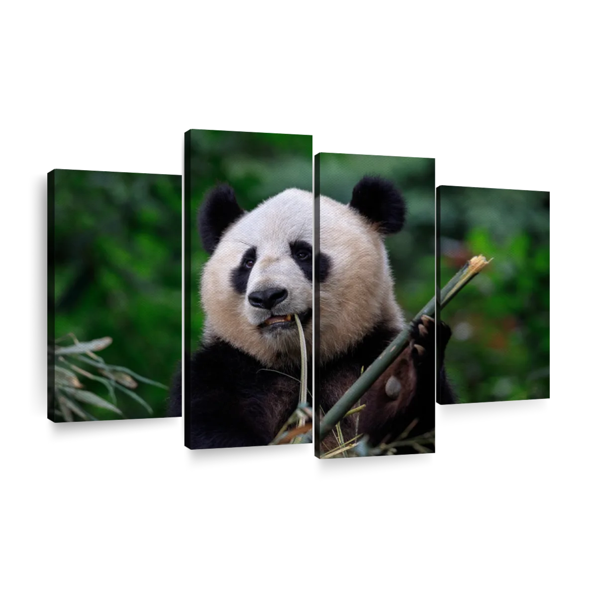 Homepage - Munching Panda