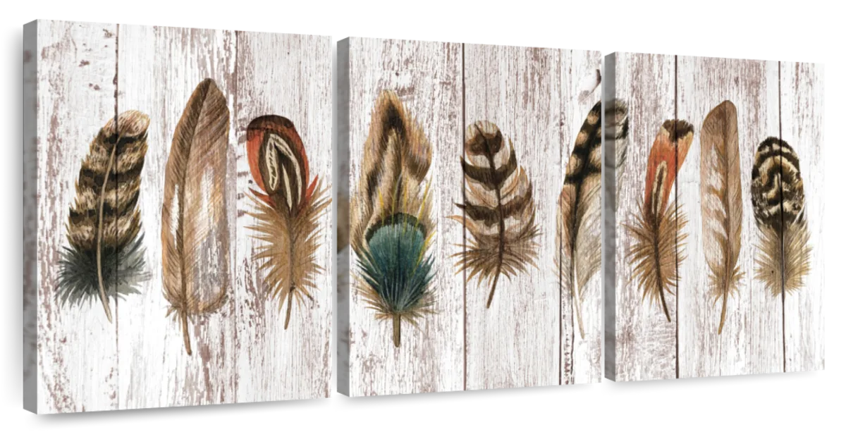 Brown Feathers On Wood Art: Canvas Prints, Frames & Posters